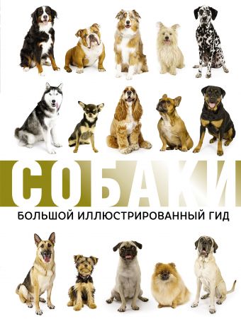 Собаки: Большой иллюстрированный гид