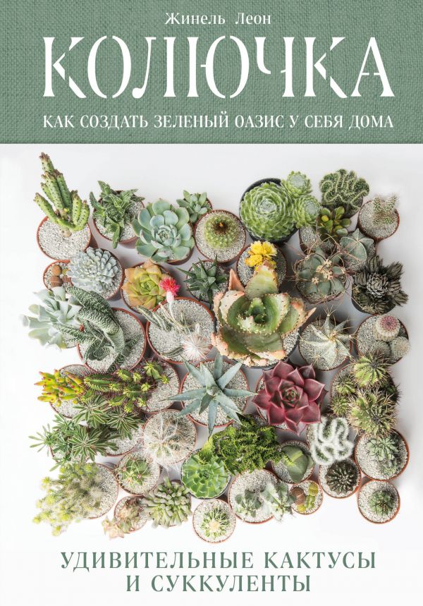 Колючка: Как создать зеленый оазис у себя дома. Удивительные кактусы и сукк