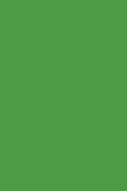 Цв. бумага А4 10л тонир Ярко-зеленый двуст ПЭТ