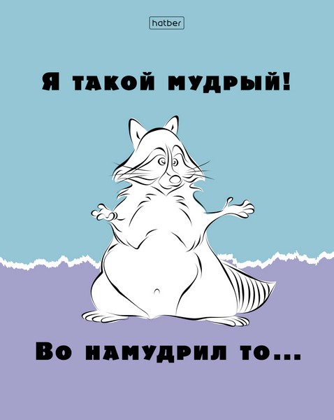 Тетрадь 48л кл Еноты
