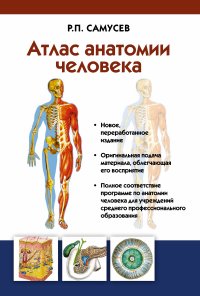 Атлас анатомии человека: Учебное пособие для студентов среднего профессионального образования