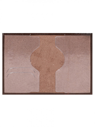 Обложка для паспорта натур.кожа Miland ШИК коричневая тисн.конгрев PASSPORT