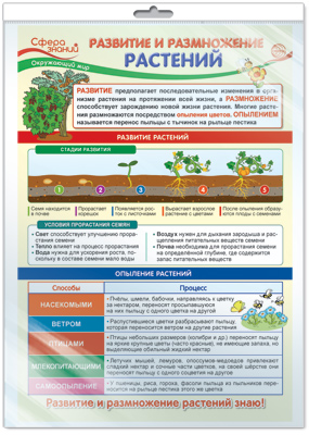 Плакат Окружающий мир в начальной школе. Развитие и размножение растений А3 (в инд.уп.)