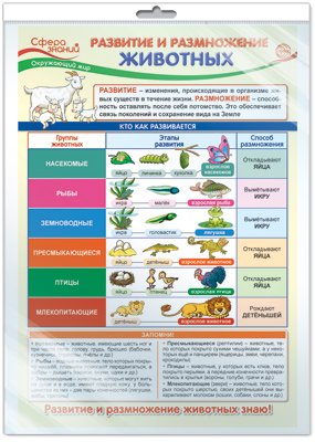 Плакат Окружающий мир в начальной школе. Развитие и размножение животных А3 (в индивид.уп)