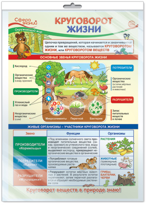 Плакат Окружающий мир в начальной школе. Круговорот жизни А3 (в индивид.упак)