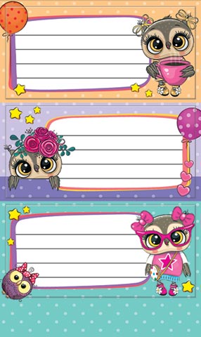 Наклейки на тетрадь 3шт Совушки