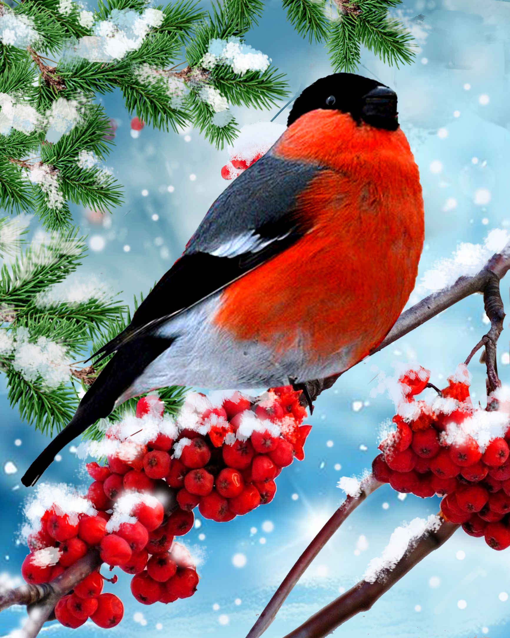 Творч Алмазная мозаика 40*50 Diamond Way Снегирь