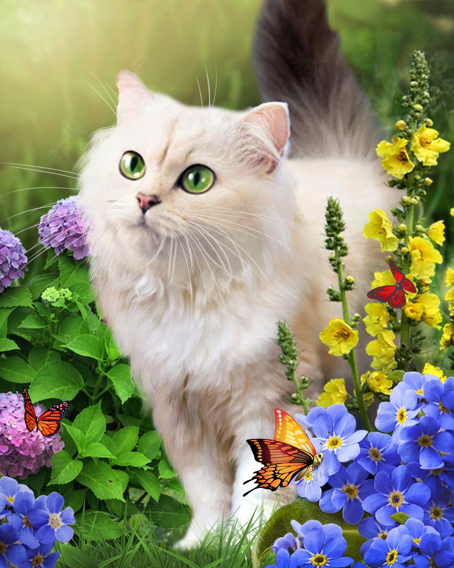 Творч Алмазная мозаика 40*50 Diamond Way Белый котик