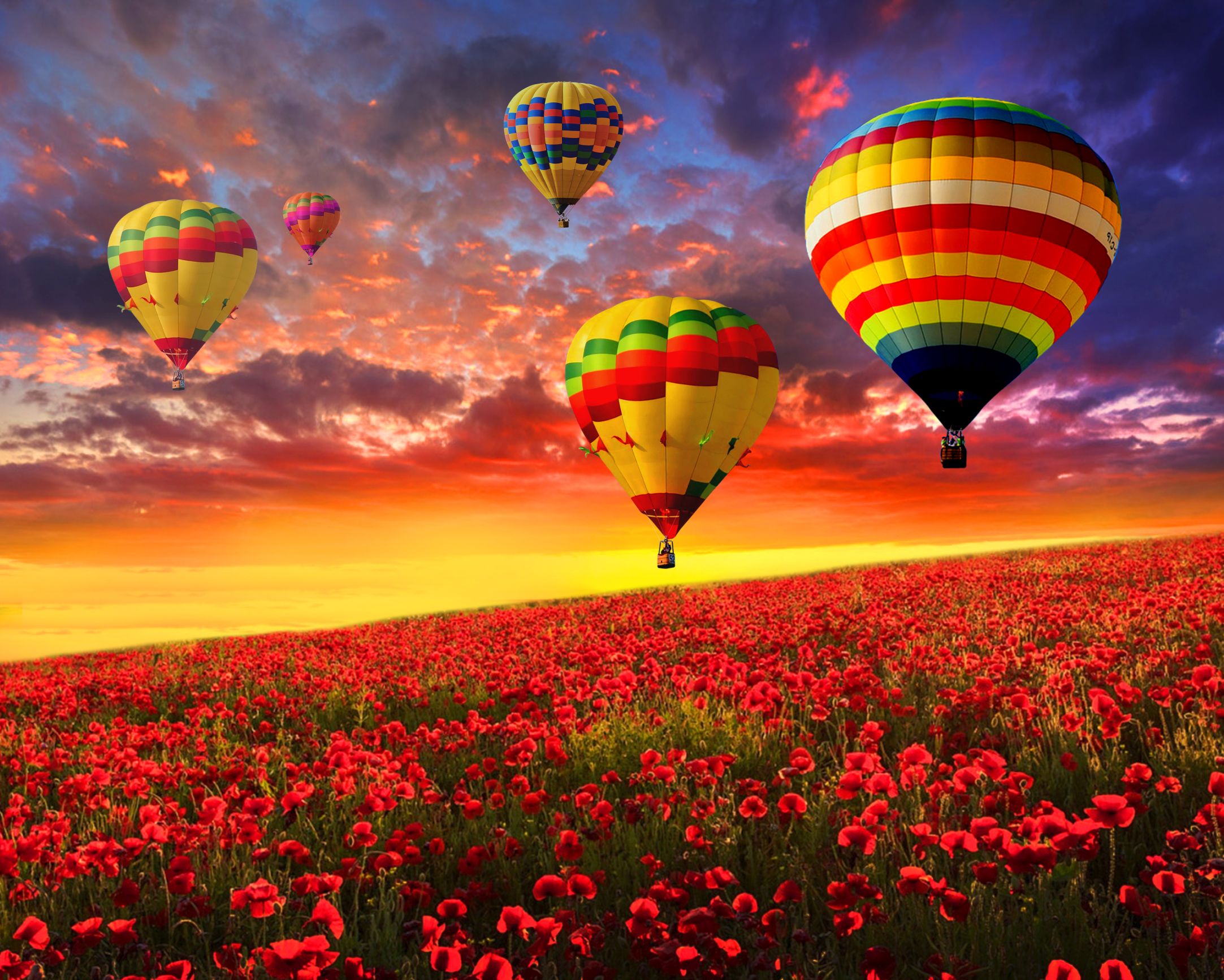 Творч Алмазная мозаика 40*50 Diamond Way Воздушные шары