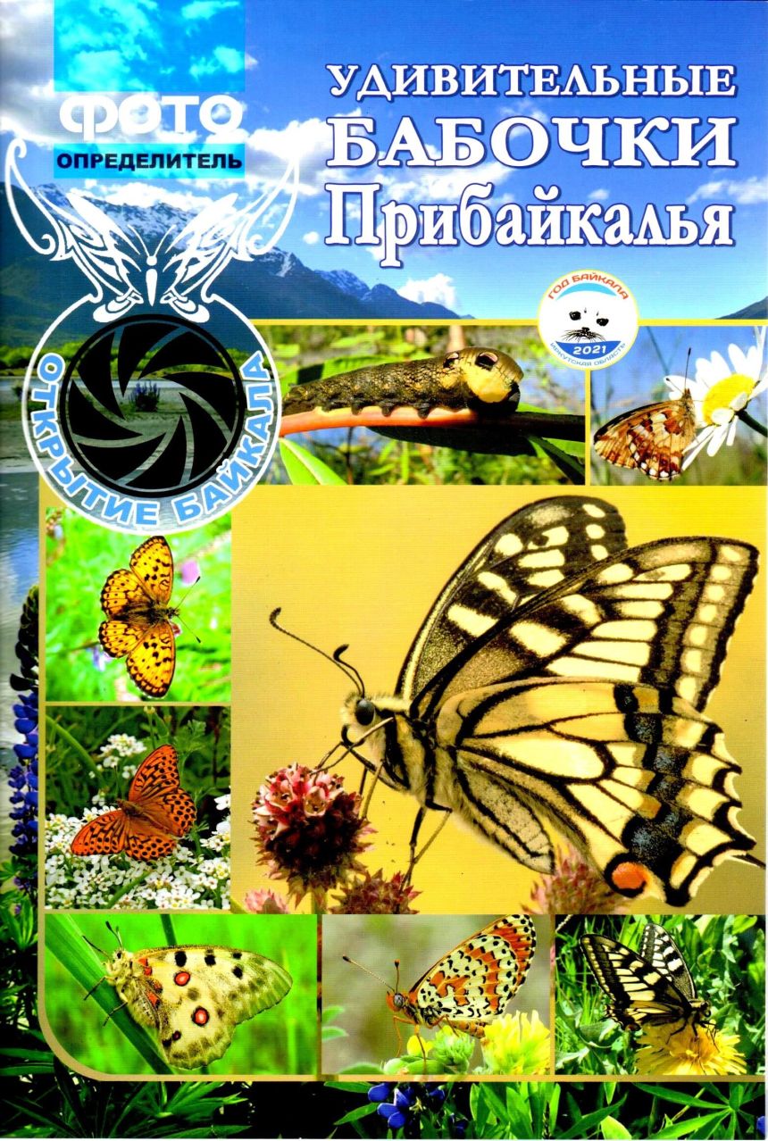 Удивительные бабочки Прибайкалья.Ч.1 Фотоопределитель.