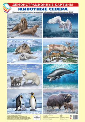 Комплект плакатов Животные Севера. Методический материал к основной образовательной прогр