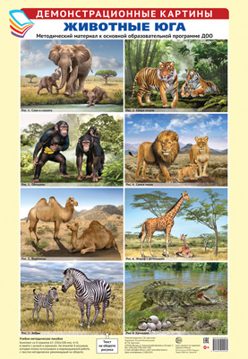 Комплект плакатов Животные Юга. Методический материал к основной образовательной программ