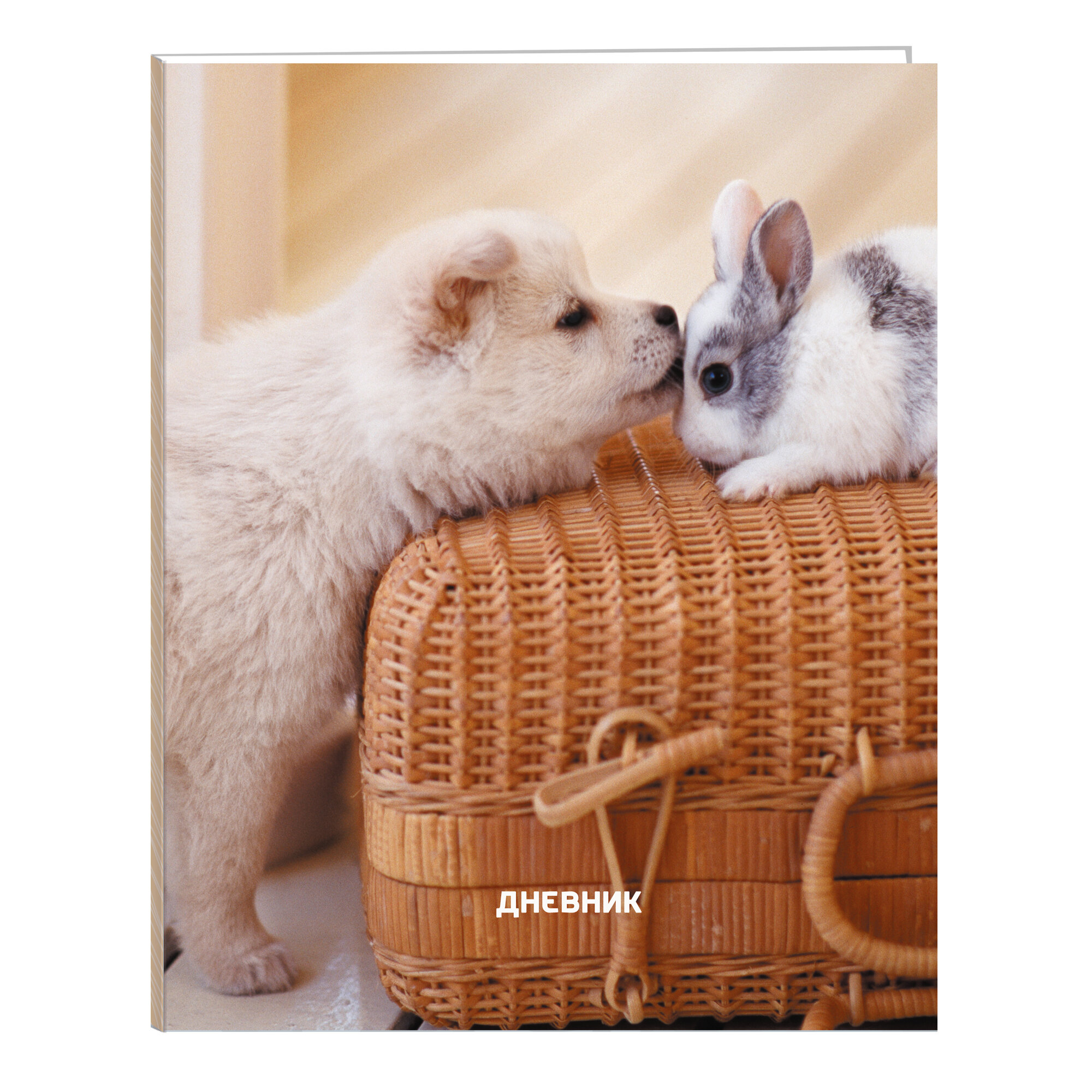 Дневник ст кл Домашние любимцы. Дизайн 2 (22) щенок и кролик