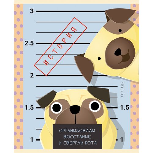 Тетрадь 48л кл темат История Пушистые хулиганы