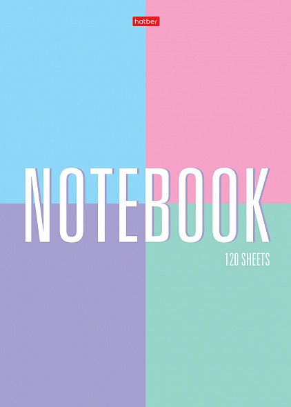 Тетрадь А4 тв 120л кл Color Line