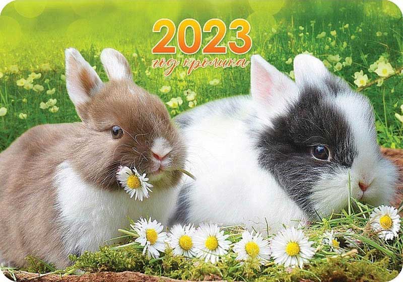Календарь карманный 2023 Кк7 Год кролика
