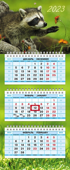 Календарь квартальный 2023 3Кв3гр5ц_26220 Любопытный енот