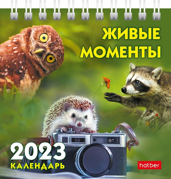 Календарь настольный 2023 (домик) 12КД6гр_27382 Живые моменты
