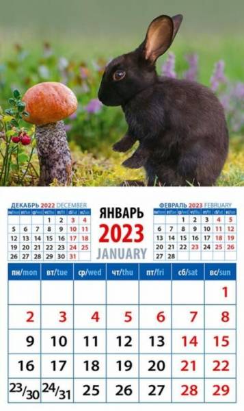 Календарь на магните 2023 20330 Год кролика. Длинноухий грибник