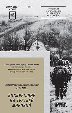 Воскресшие на Третьей мировой. Антология военной поэзии 2014 - 2022 гг. Стихи