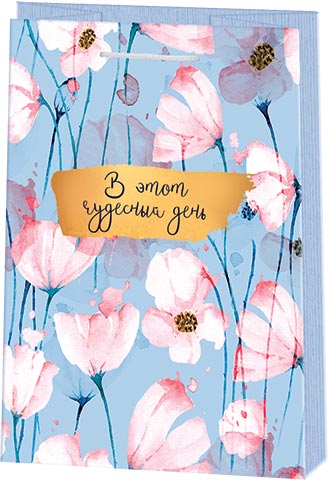 Сумка бум 10-41-200L(+) В этот чудесный день