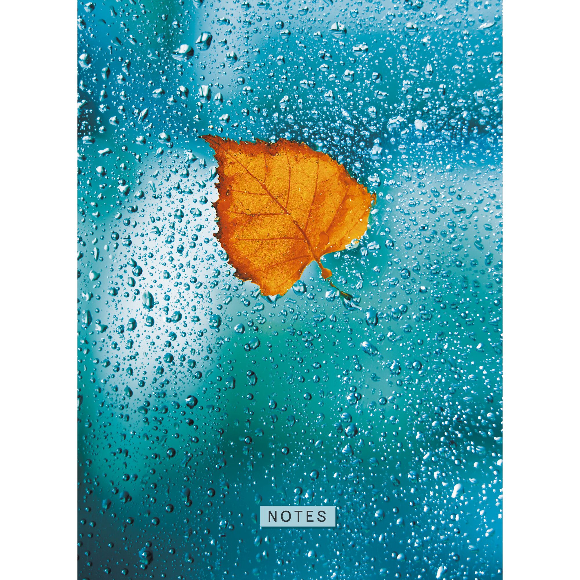 Тетрадь А4 тв 160л кл Осенний лист