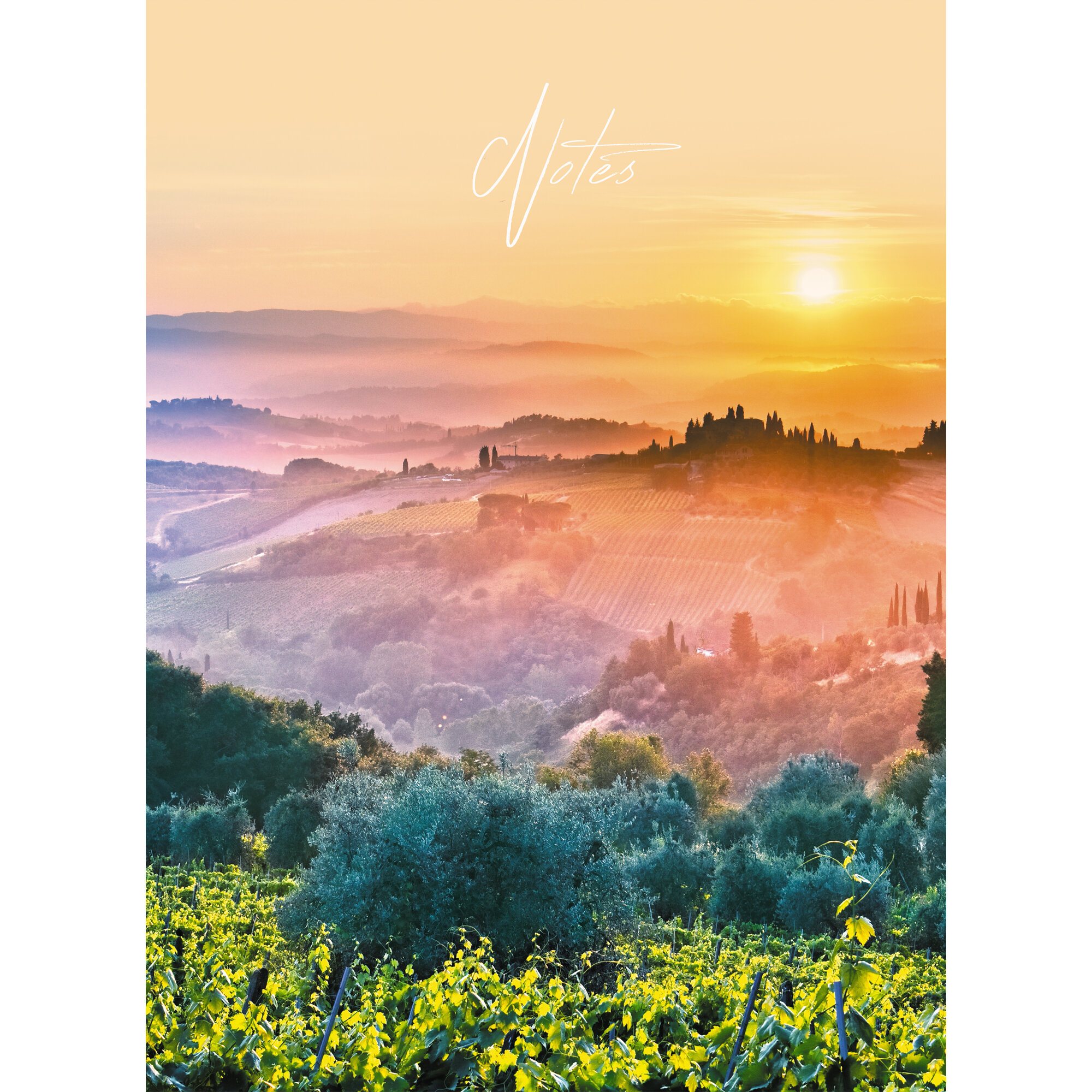 Тетрадь А4 тв 160л кл Рассвет