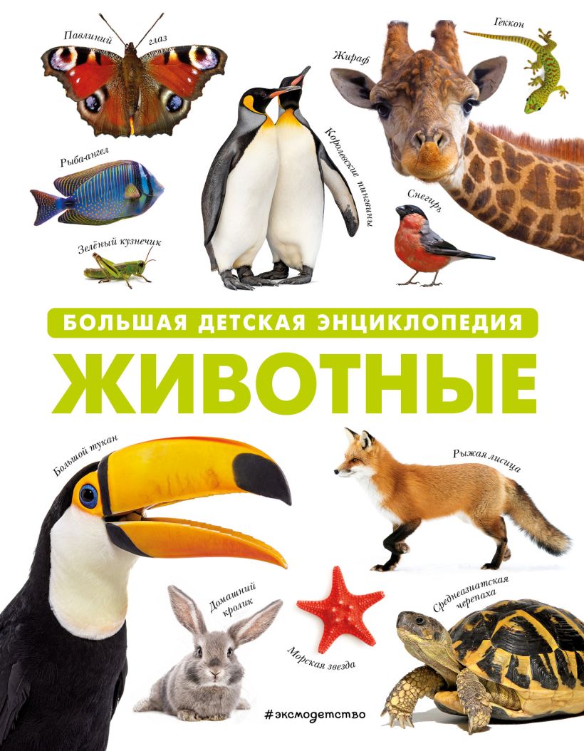 Животные. Большая детская энциклопедия