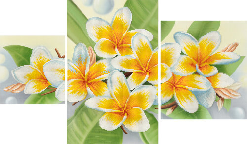 Творч Кристальная мозаика 60*36 Триптих. Плюмерия