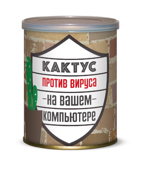 Набор для выращивания Кактус Кактус против вируса на вашем компьютере