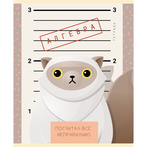 Тетрадь 48л кл темат Алгебра Пушистые хулиганы