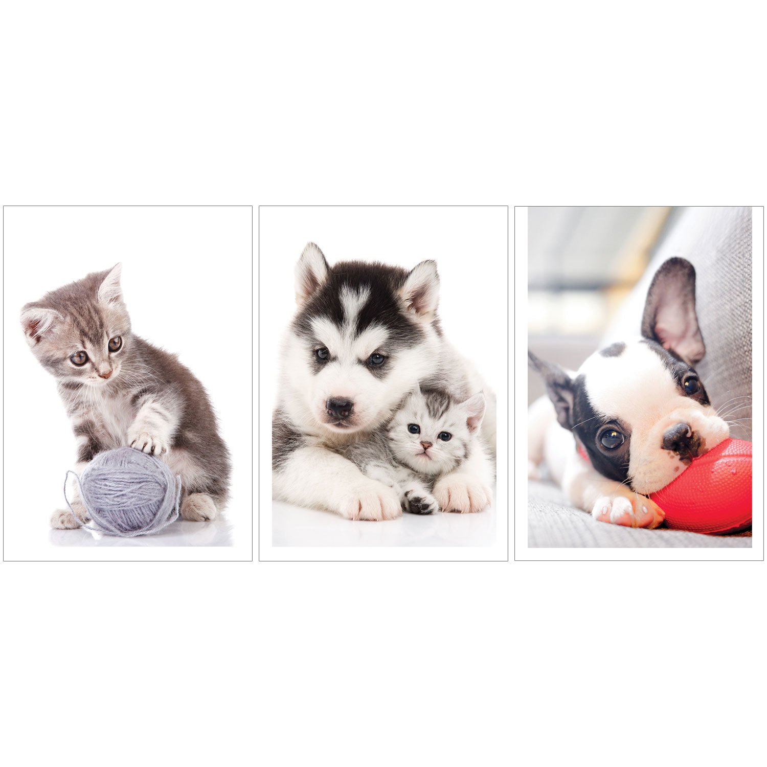 Блокнот А6 24л кл Щенки и котята