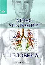Атлас анатомии человека: Все органы человеческого тела