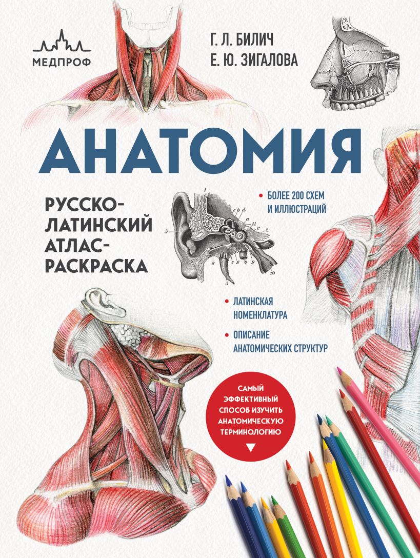 Анатомия: русско-латинский атлас-раскраска (новое оформление, новый формат)