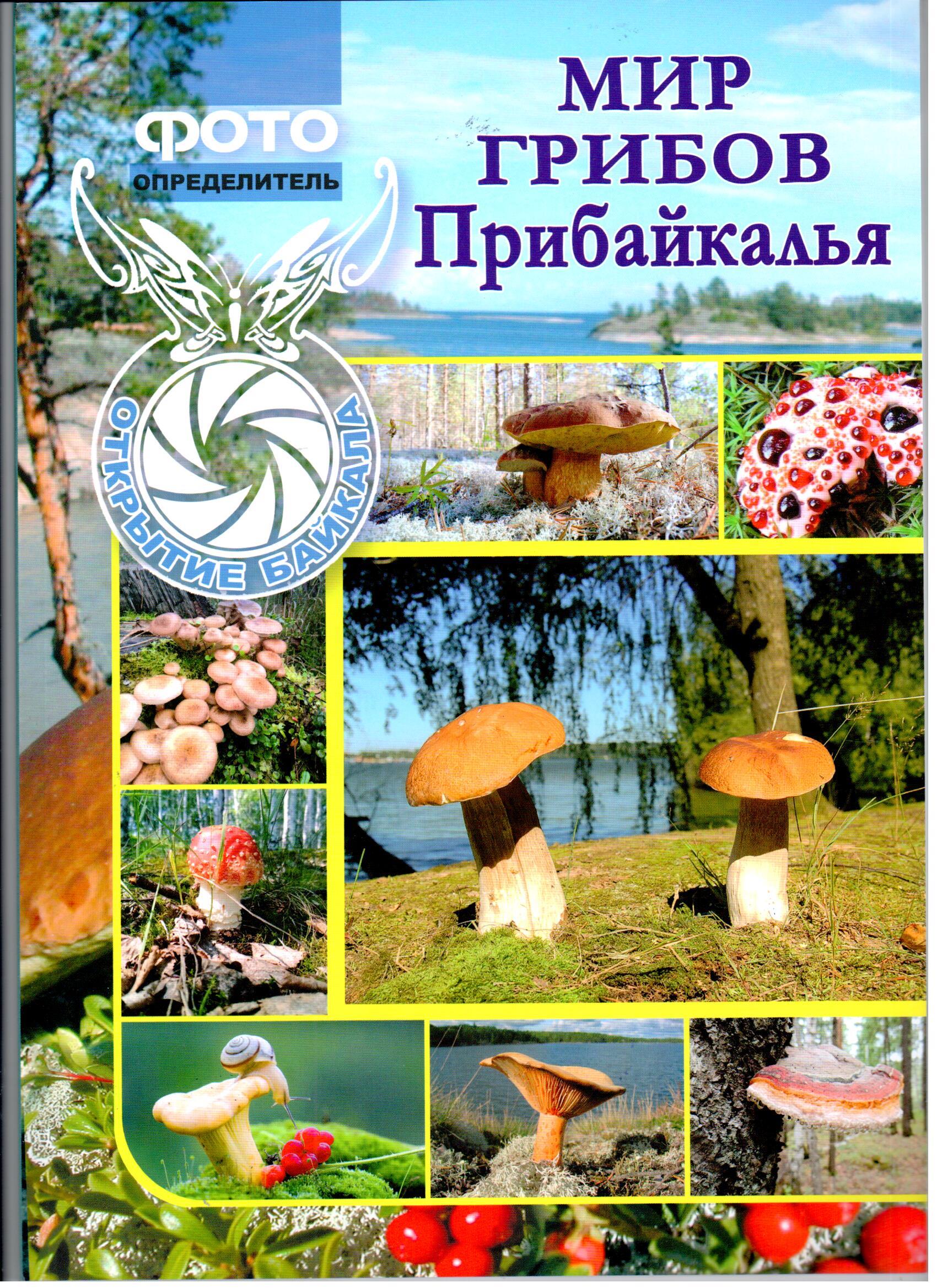 Мир грибов Прибайкалья: Фотоопределитель
