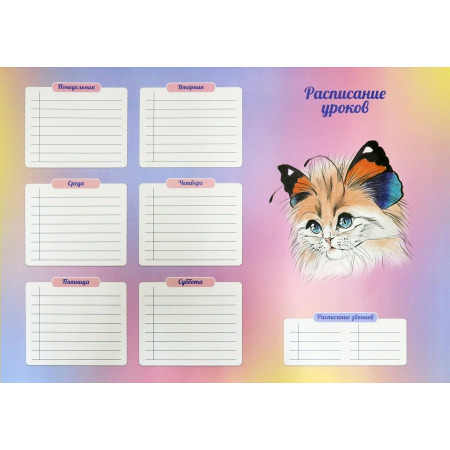 Расписание уроков А3 Кошка-бабочка №3