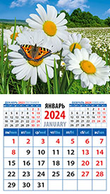 Календарь на магните 2024 20418 Ромашки с бабочкой