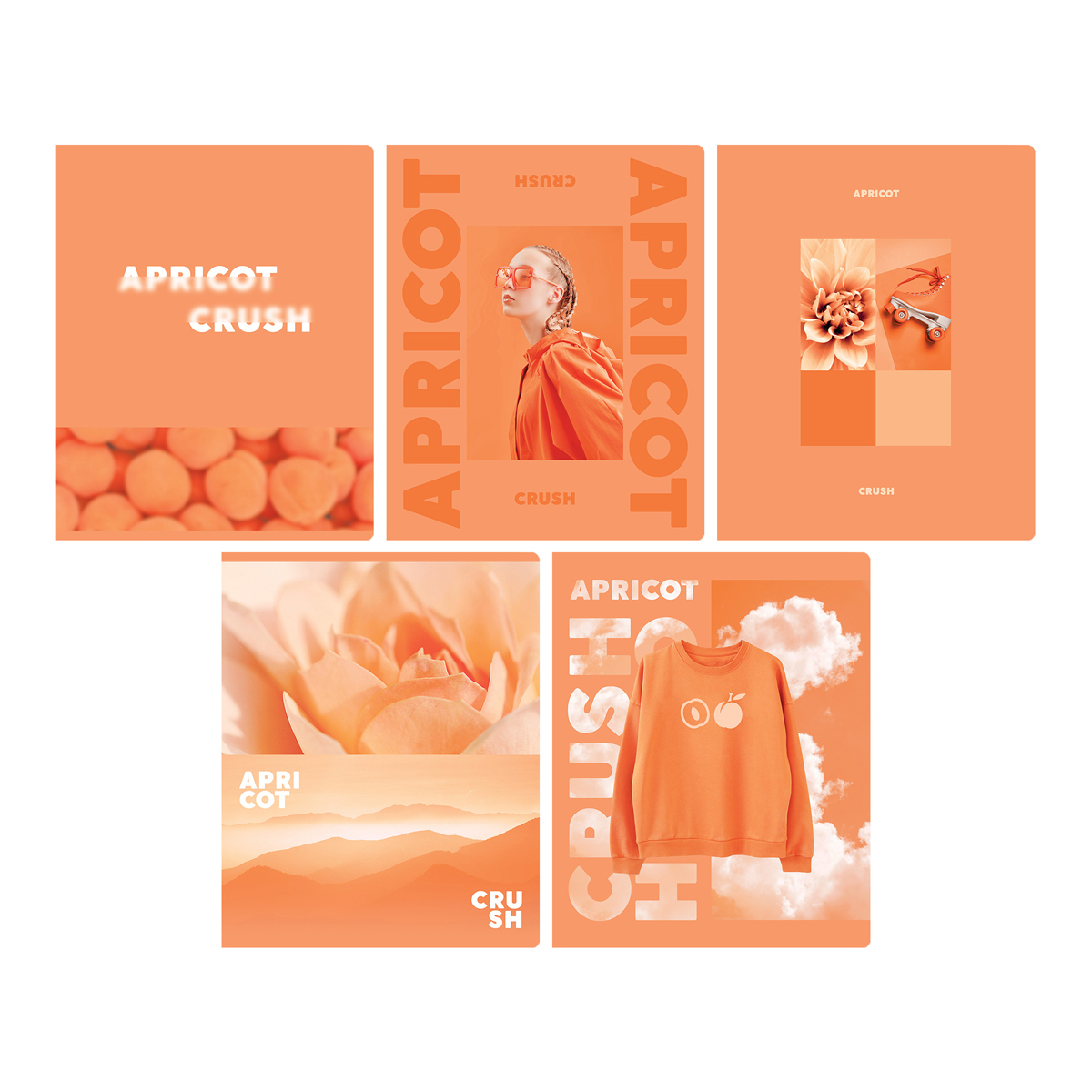 Тетрадь 48л кл Apricot