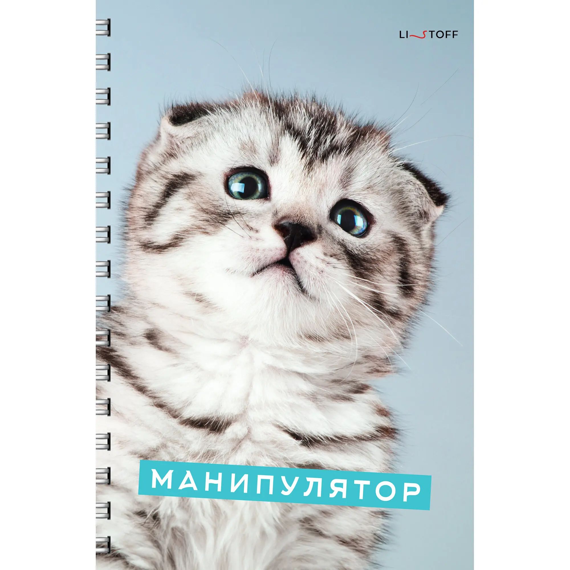 Тетрадь А4 80л кл спир Характер котика