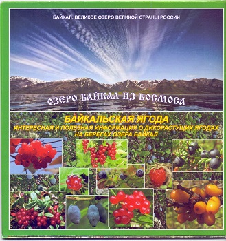 Карта: Озеро Байкал из космоса: Байкальская ягода буклет