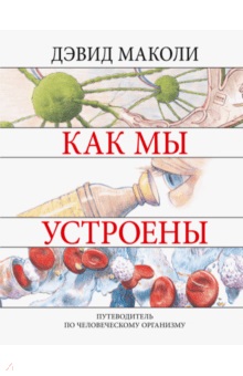 Как мы устроены