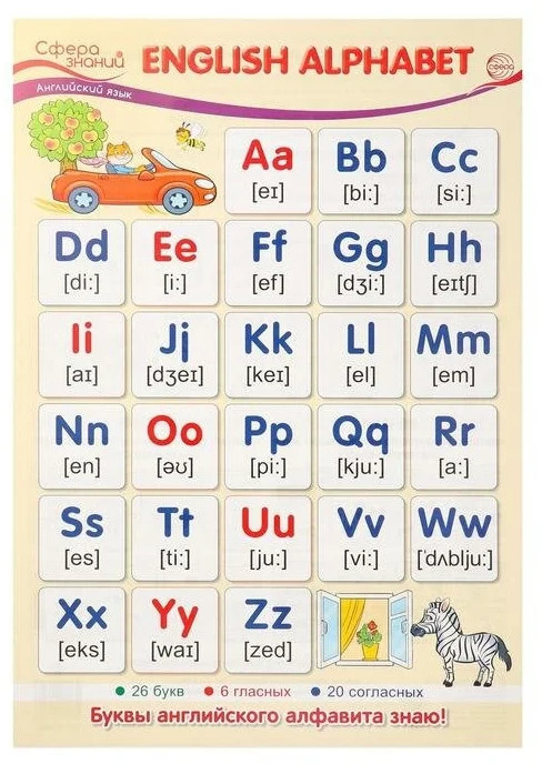 Плакат English Alphabet А4 (в индивидуальной упаковке, с европодвесом и клее