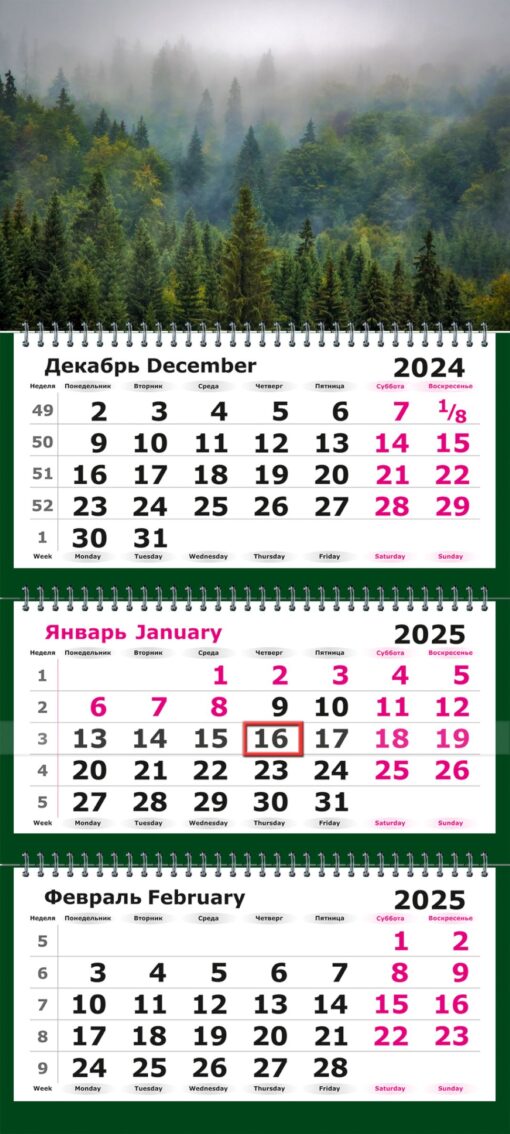 Календарь квартальный 2025 13с14-255 Туманный лес