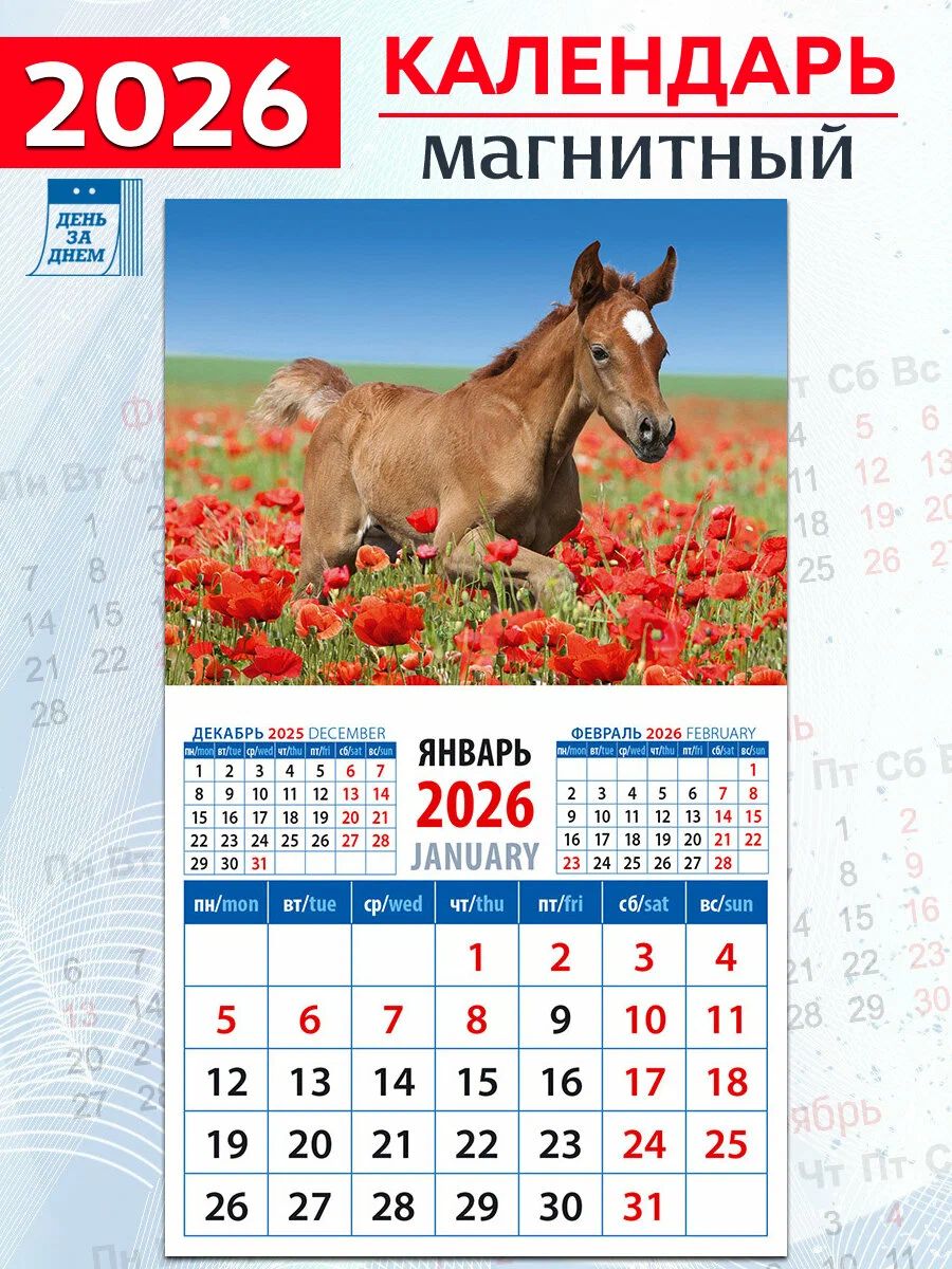 Календарь настенный 2026 на магните Жеребенок среди маков