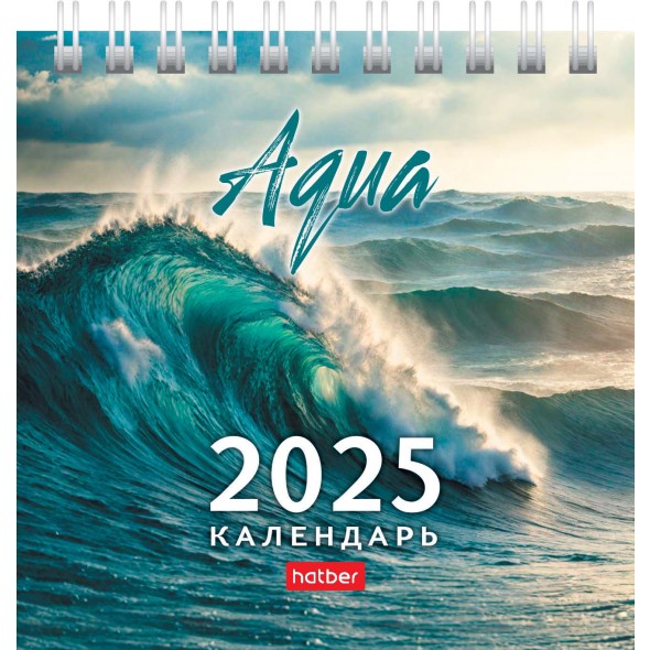 Календарь настольный 2025 (домик) 12КД6гр_31108 AQUA