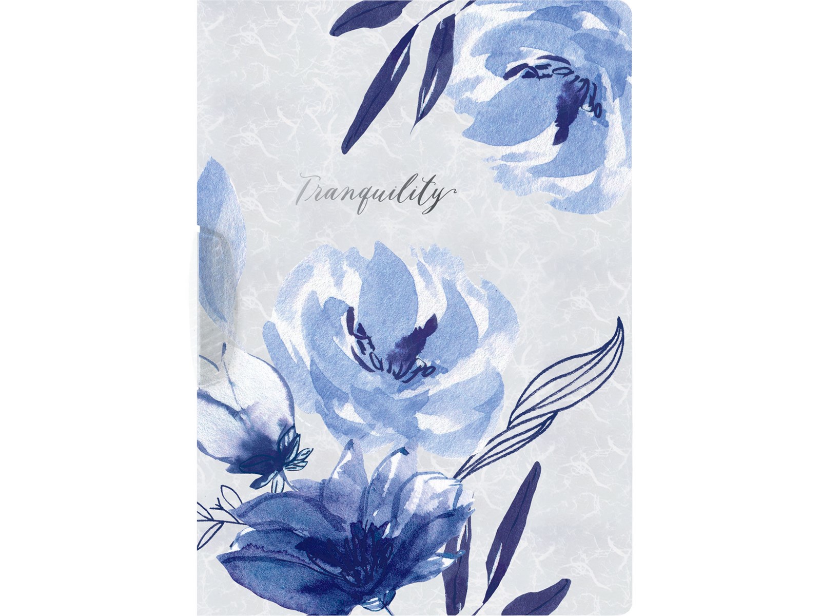 Папка с 1 прижимом А4 Colorio Нежные цветы с рис