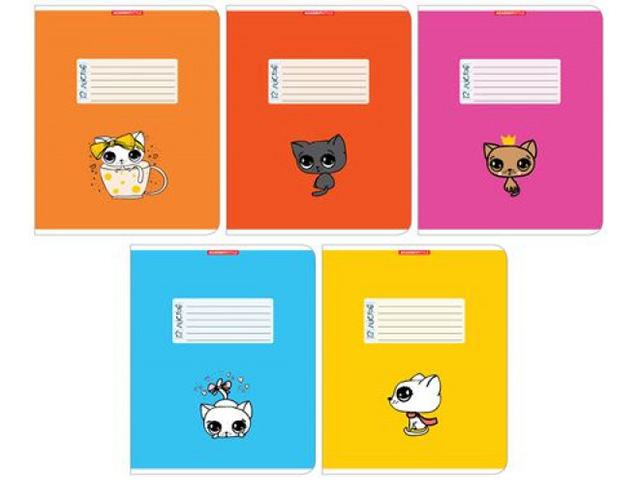 Тетрадь 12л линейка Кошачьи глазки 5цв