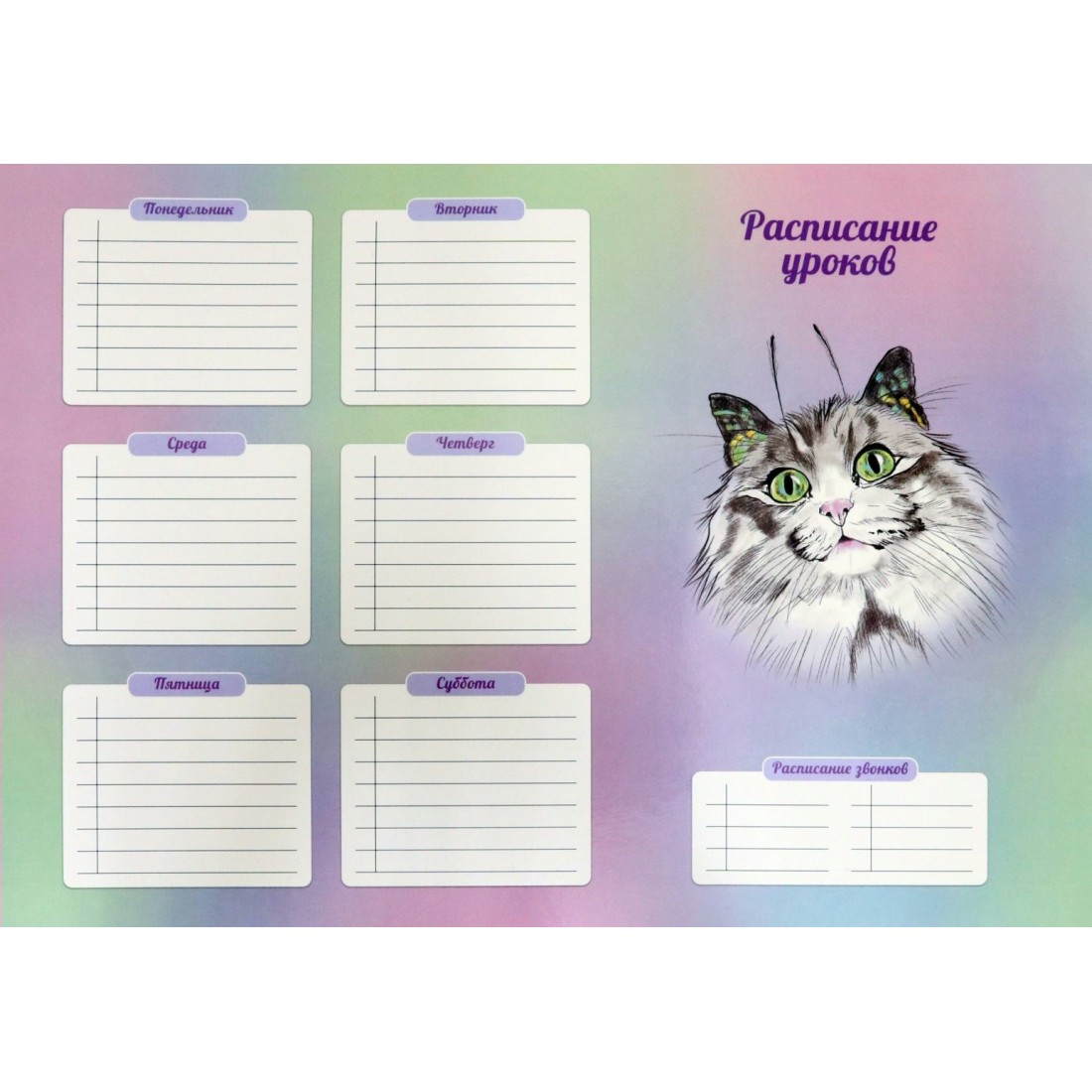 Расписание уроков А3 Кошка- бабочка №1