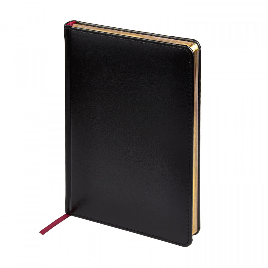 Ежедневник А5 Sidney Nebraska черный золотой обрез