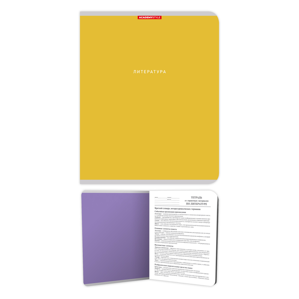 Тетрадь 48л кл темат Литература Однотон